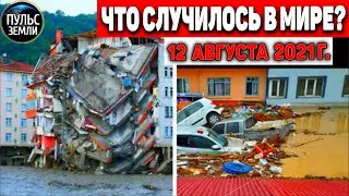 Cataclysms for the day 12 AUGUST 2021! Pulse of the Earth! in the world event of the day 