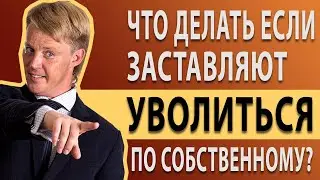 Заставляют уволиться по собственному. Что делать если хотят уволить.