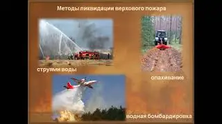 Видеоурок 
