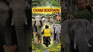 Посетил коллег