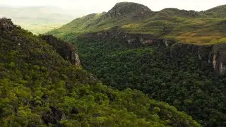 AZ Forest: committed to support biodiversity and human health