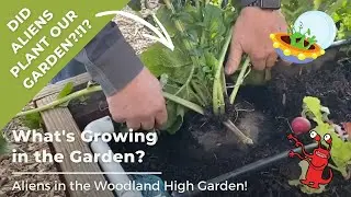 What's Growing in the Garden?  Aliens at Woodland High School