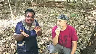 Mushroom Hunting with Josephine Nakakande of EcoAgric Uganda