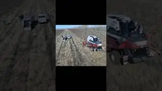 Комбайн на обмолоте подсолнечника.