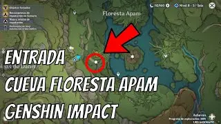 Location Cave Apam Woods - Sumeru - Genshin Impact