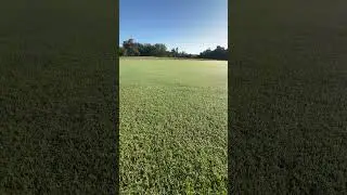 GCI Turf Alpha Elite wrapped in morning dew…
