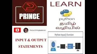 PYTHON INPUT OUTPUT STATEMENTS