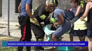 INCENDIO DEVASTA APPARTAMENTO ALLA CELLETTA, DIECI GATTI SALVATI DALLE FIAMME