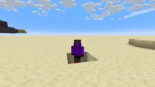 1.19 flush piston trapdoor tutorial - insane! Minecraft.