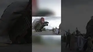 Чудаки на грузовиках