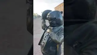 Бобруйск, бобер курва