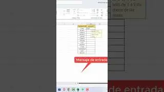 Como usar el mensaje de alta en validacion de datos en Excel (Mensaje en Validacion de Datos)