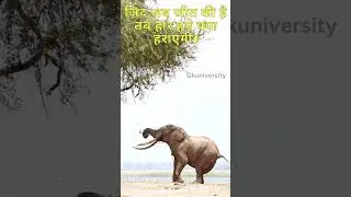 Best Motivational Video I viral video I Best Powerful Motivational Video I Inspirational video