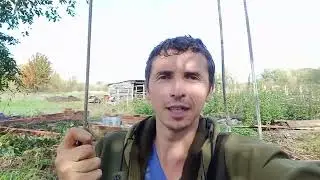 Пролетел с молоком. Что теперь дальше делать?