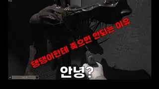 [SCP : Secret Labortory] 패치 된 댕댕이에게 죽으면 안되는 이유