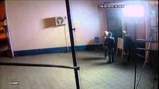 В армавирском антикафе похитили дорогие кроссовки (вход четверг)