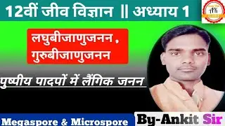 लघुबीजाणुजनन & गुरुबीजाणुजनन | Microsporogenesis&Megasporogenesis | 12th Biology By Ankit Sir |