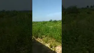 I am going to sharmathura and see tapka water fall