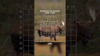 Where Are You Aiming? 