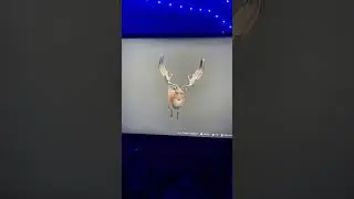 Sorry I haven’t posted in a while hope you enjoy 