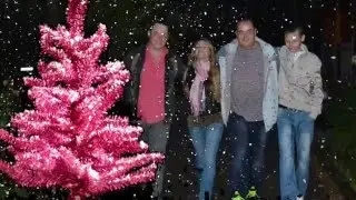 диско группа