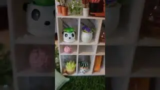 mini plants #dollhouse #miniplants #dollhouse
