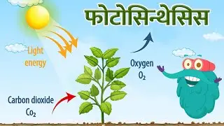 फोटोसिन्थेसिस | प्रकाश संश्लेषण | Photosynthesis In Hindi | Dr.Binocs Show | Binocs Ki Duniya