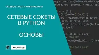 NP1.1 Использование сокетов в Python