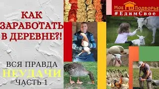 Как заработать в деревне. Итоги первого года жизни. Неудачи. Часть 1. 