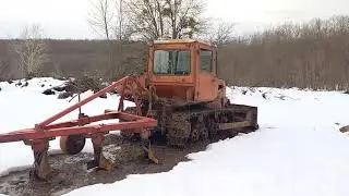 Гуляем и проведываем ДТ75