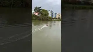 RC Proboat stealthwake RTR, test / rýchlosť