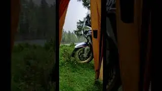 Красочный Алтай май 2020.