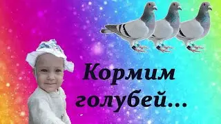 Прогулка по площади, или как самый маленький человечек нашей семьи первый раз кормил голубей.
