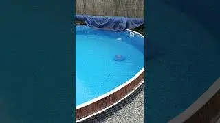 Odkurzacz Robot Do Basenu Bezprzewodowy Monzana PoolBoy 600