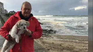 Picolina - ein kleiner kanarischer Straßenhund wird 18 Jahre