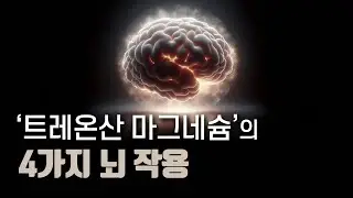 불면증, 우울증, 기억력, 인지력: 트레온산 마그네슘