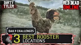 BEST ROOSTER Locations RDR2 Daily Challenges Red Dead Online