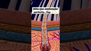 Você sabe como se formam os fios brancos? #hair #cabelosbrancos #grisalhas