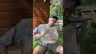 «Один день на даче» 😅 | 