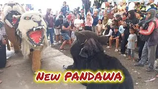 Terbaru‼️Mbabar can macanan new pandawa live ceper batu karangtengah demak