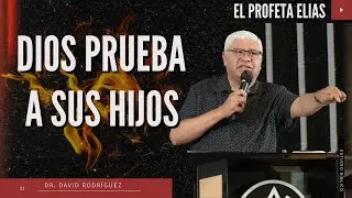 Provisión en tiempos difíciles | Serie Profeta Elías | Mensajes Cristianos
