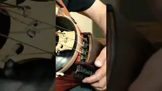 Ante Scriptum #shorts #hurdygurdy