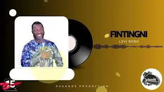Levi BoBo - Fintingni | Clip audio