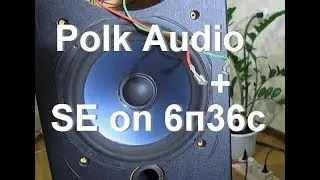 Polk Audio + SE 6П36С