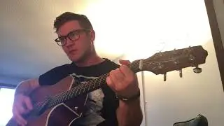 Disappointed - The Frames cover