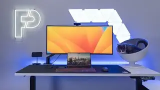 Dream Desk Setup 2024 (Minimal and Cat Friendly)