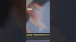 ЖЕНЩИНА ПЫТАЛАСЬ ЗАЩИТИТЬ СЕБЯ