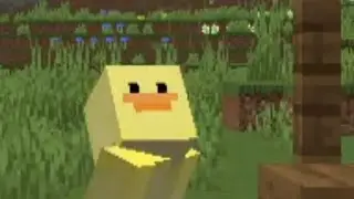 The Duck Song (Minecraft)
