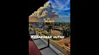 Kebakaran hutan didesa galang - KALBAR