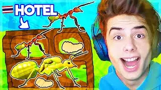 My Subs and I made an Ant Hotel in Ant World